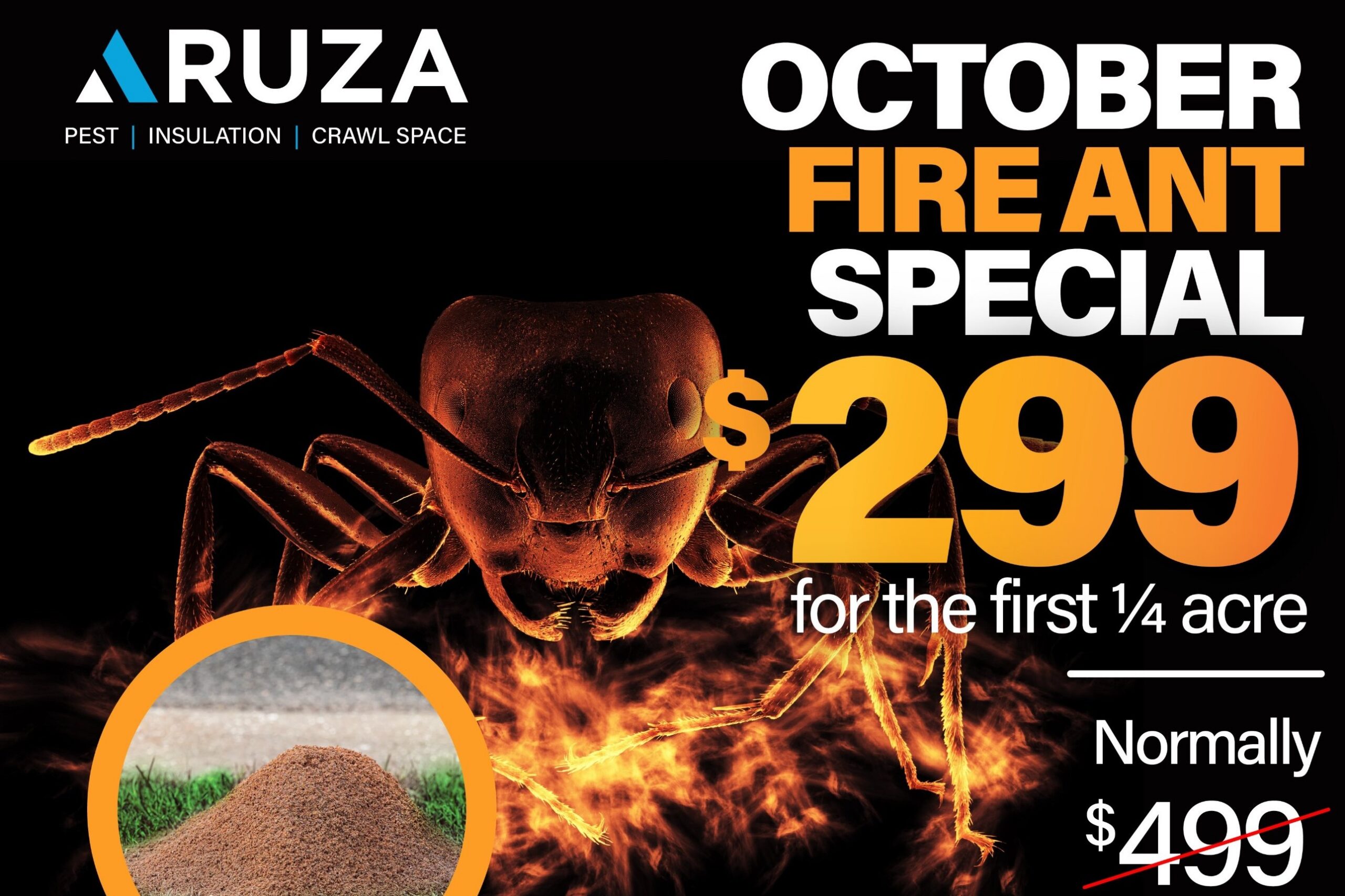 Fire Ant Special Promo