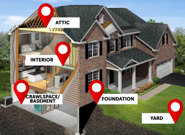 home-health-insepctions